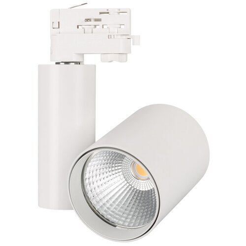  4885  LGD-SHOP-4TR-R100-40W Warm SP3000-Fruit (WH, 24 deg) (Arlight, IP20 , 3 )