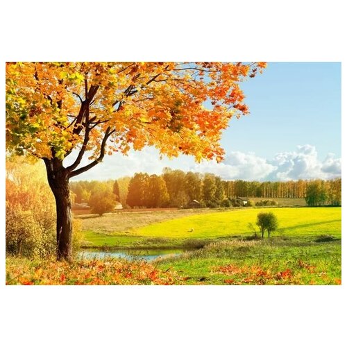  1340      (Autumn Landscape) 14 45. x 30.
