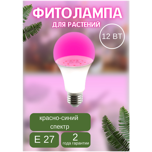 ������ 343� ��������� ��� �������� � ������� 12W E27 ������-����� ������