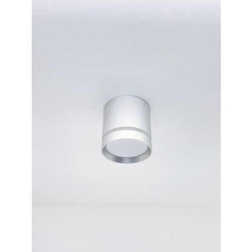  1850    Elegant DZN-10253 SILVER/ D84/H87/1/LED/12W 5000-5500K