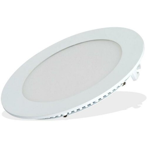  2442   DL-142M-13W Day White IP40 . 20109 Arlight