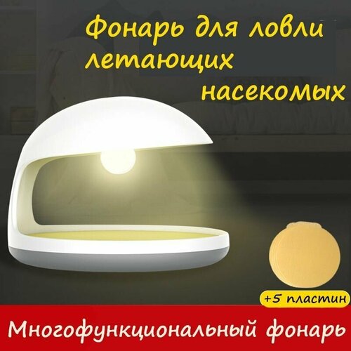 ������ 2389� ���������� ��� ����� ���������