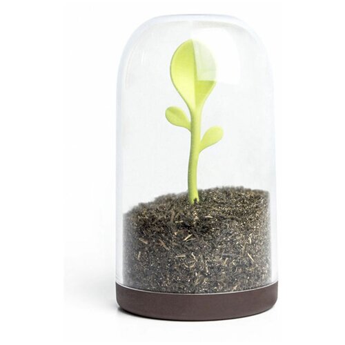  1389     Sprout Jar, Qualy, QL10205-BN