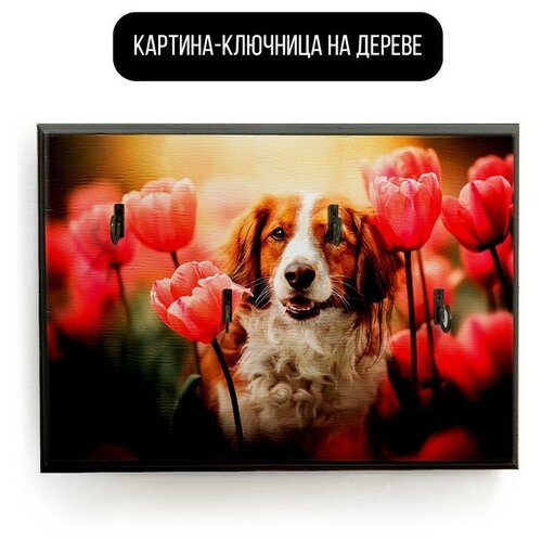 ������ 590� �������� ��������� ���������� 20x30 �� ������� - 171 �