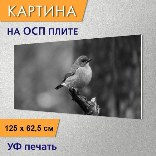 ������ 2980� �������������� ������� 