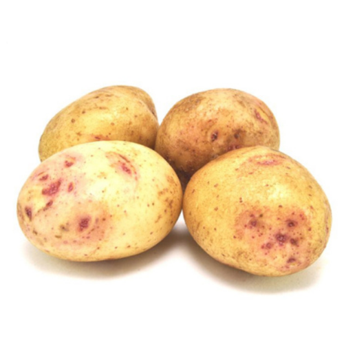 купить Семенной картофель синеглазка (суперэлита), цена 899 рубл