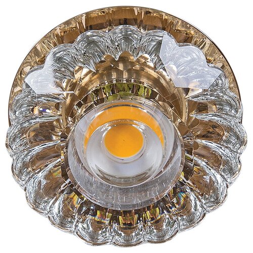  369      Reluce09097-9.0-001T LED COB10W GD