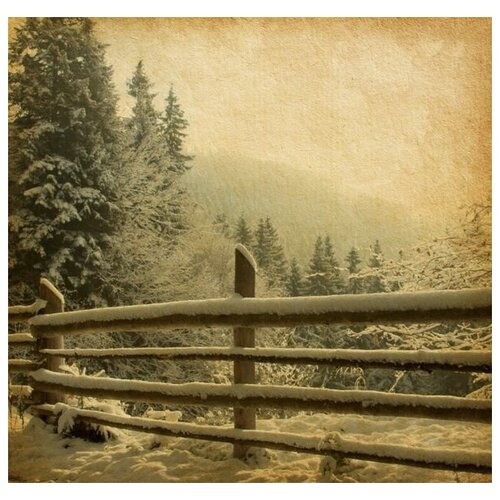       (Snow on the wicker fence) 31. x 30.,  1040 