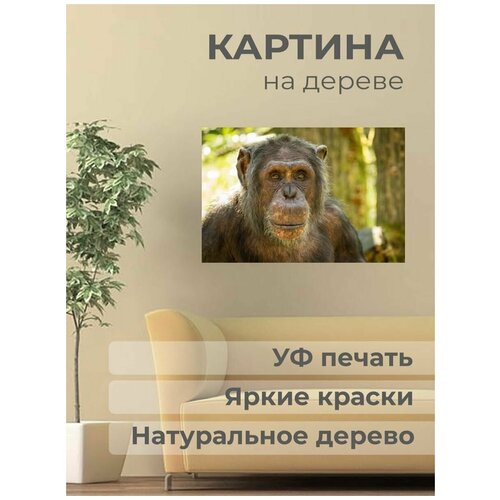 ������ 1001� ����������� ������� �� ������ 