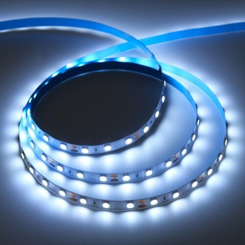  5048   PRO 50 , IP20, SMD5050, 60 LED/, 14.4 /, 12 , 6000