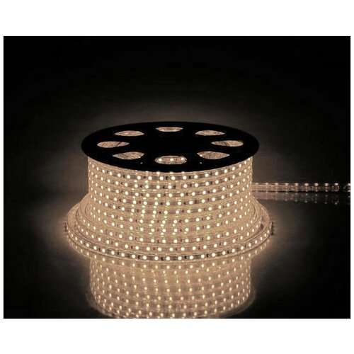  184  , 60SMD(2835)/m 4.4W/m 230V IP65 100m, 2700 , LS704  2  , 2 , 2 ,10   