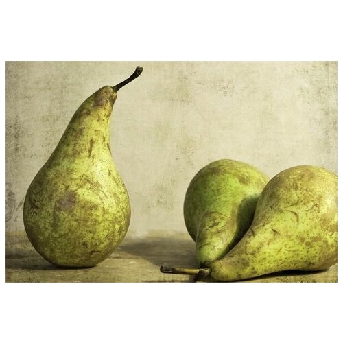  2690     (Pears) 2 75. x 50.