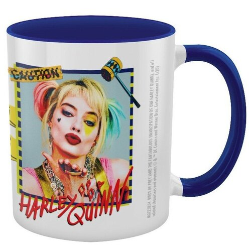  1490  Birds Of Prey (Harley Quinn Warning) Blue Coloured Inner Mug MGC25854