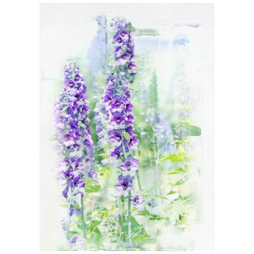  2580      (Purple flowers) 50. x 71.