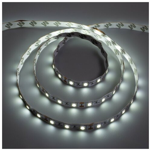  513   Ecola 3 , IP20, SMD5050, 60 LED/, 14.4 /, 12 , 6000