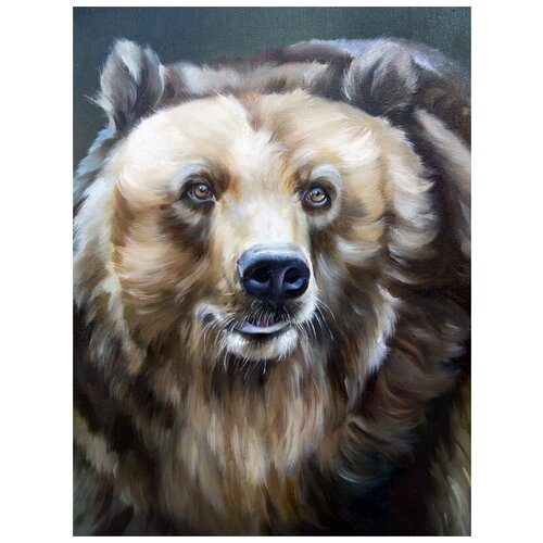  1220     (Bear) 1 30. x 40.