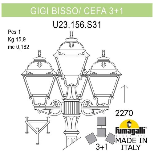  49859  Fumagalli Cefa U23.156.S31.AYF1R