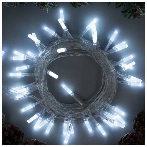  464   5    , IP20,  , 50 LED,  , 8 , 220 