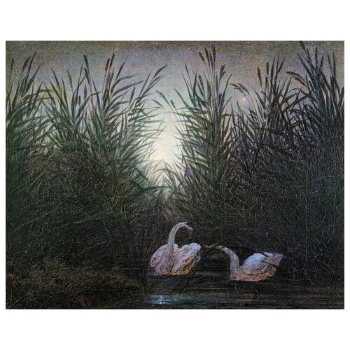  1200       (Swans among the reeds)    38. x 30.