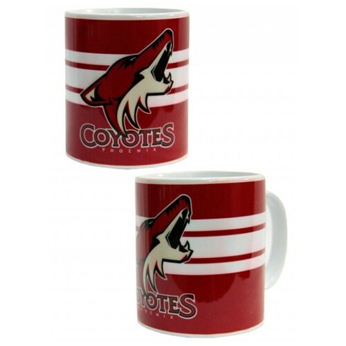  360     Phoenix Coyotes