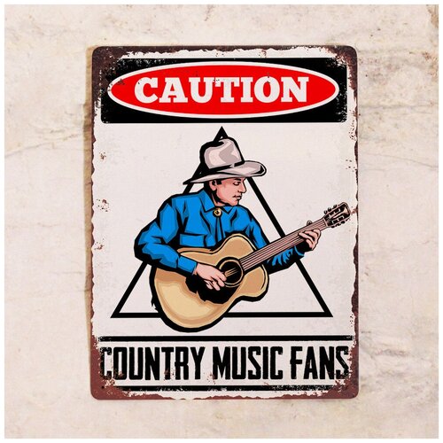    Country music fans, , 3040 ,  1275 