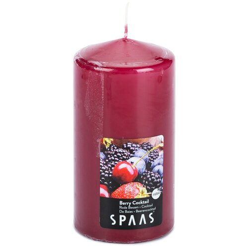 ������ 499� ����� ����� ������� 8/15�� ������� �������� (65�),SPAAS