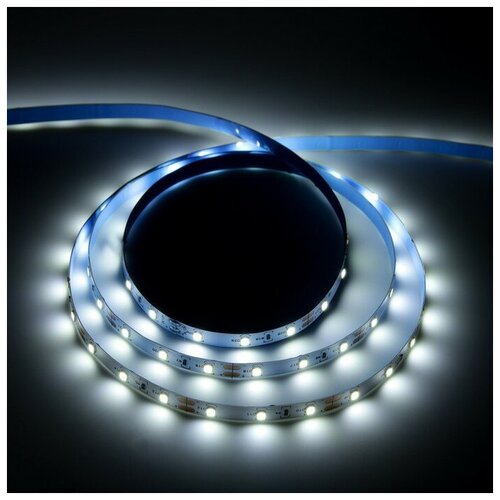  558   Uniel, 5 , LED/-60-SMD2835-12V, 4.8 /, Ip20,  9544310