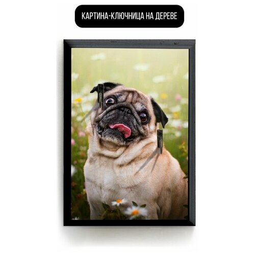 ������ 619� �������� ��������� ���������� 20x30 �� �������� - 174 �