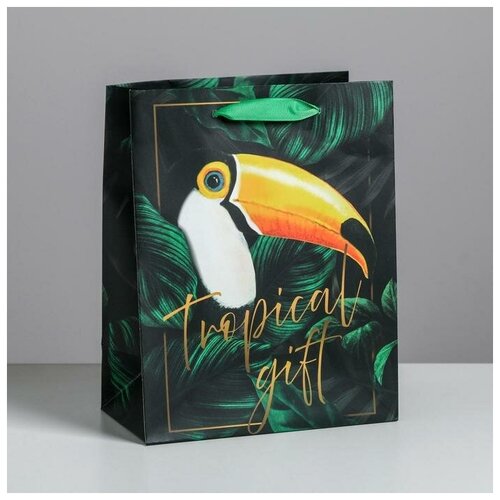  299    Tropical gift, MS 18 ? 23 ? 10 