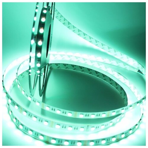  3500    SMD 5050, RGBW 4   1 ,  -  :RGB+ 5600