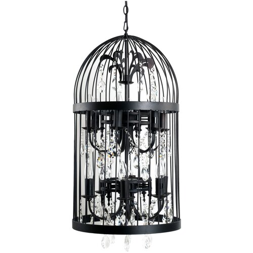  31710  Birdcage D40