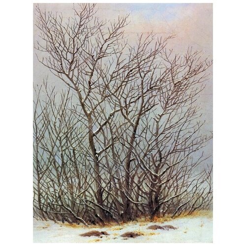  1800         (Trees and shrubs in the snow)    40. x 53.