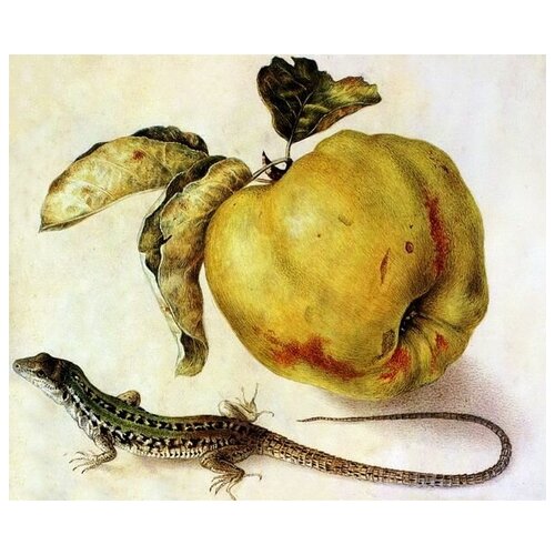        (Apple and lizard)   60. x 50.,  2260 