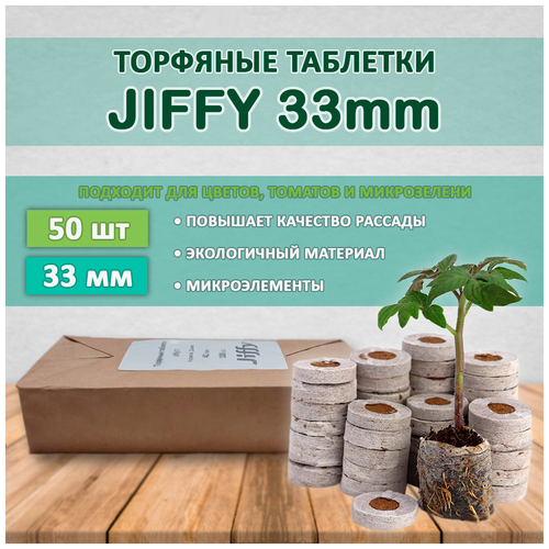  570   Jiffy 33 (50 )