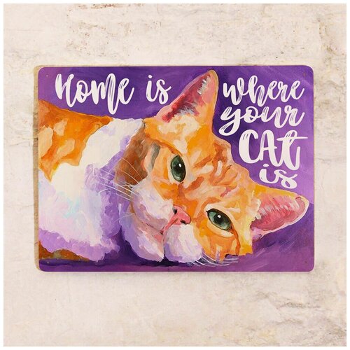  842   Home is where your cat is, , 2030 