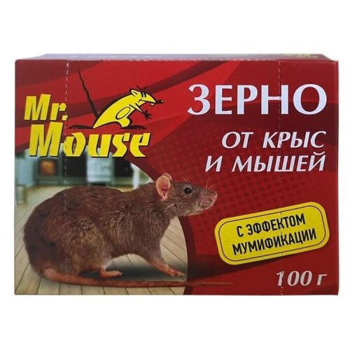  91      Mr. Mouse 100 