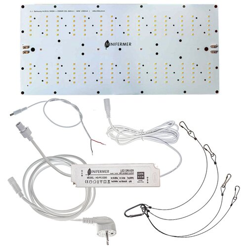  6149    ,   / 1.20 Ultra  Quantum board 60   /    / 