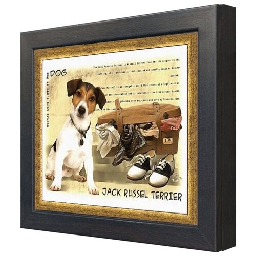  1680 -    / Jack Russel Terrier       2833 7 