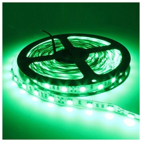 ������ 2400� ������������ ����� SMD5050-60LED-12V Double line standart 5�. - ���� ��������:�������