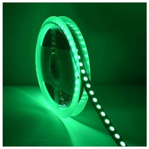  3900   SMD 5050, 120 /, , , 12 , : RGB, IP33