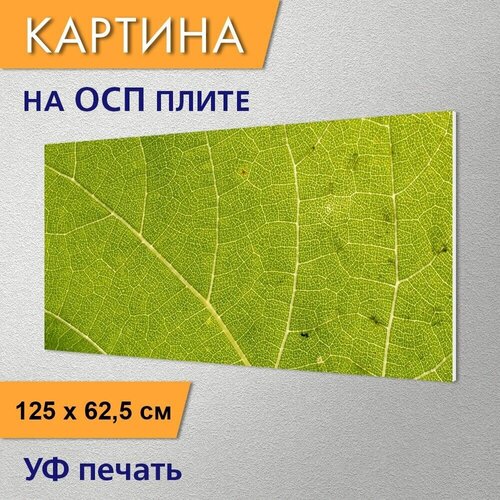 ������ 2990� �������������� ������� 