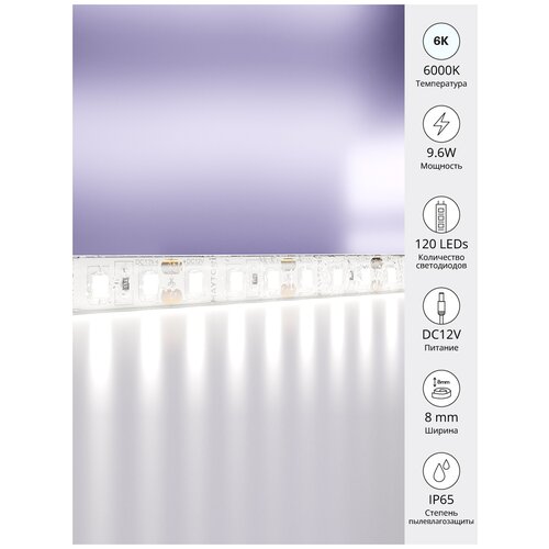  2100   5  Maytoni Led Strip 10113