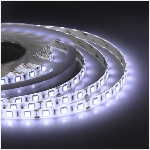  697    00-119-1   12,      6500K,     1300 / / 120/ / 12/ / smd2835 / IP20 /  5 ,  8 