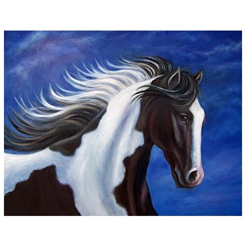  1750    -  (Black and white horse) 51. x 40.