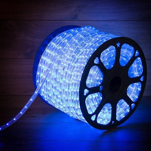  14366     , , 24 LED/,  10, 100 ,   / , Neon-Night