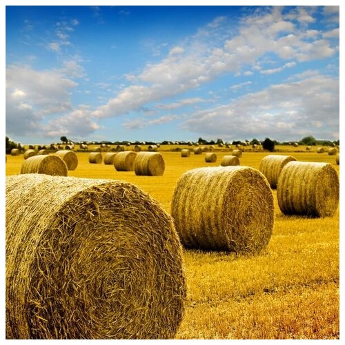  1980      (Haystacks) 4 50. x 50.