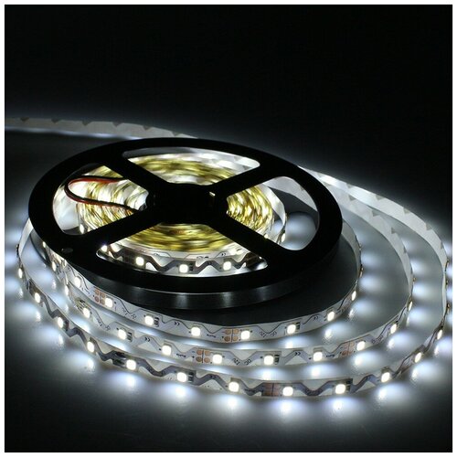  2200 - (3-D) SMD2835-60LED-IP33-12V 5. -  : 5500-6000K