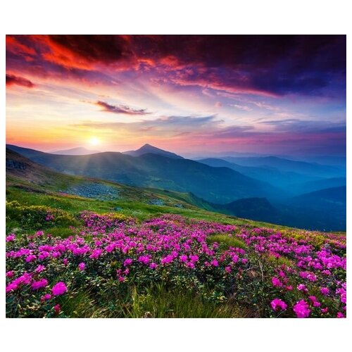        (Flowers in the mountains at sunset) 2 36. x 30.,  1130 