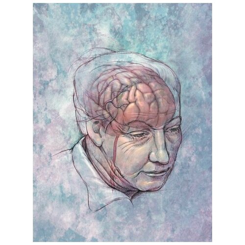 ������ 2470� ������ �� ������ ���� (Brain) 50��. x 67��.