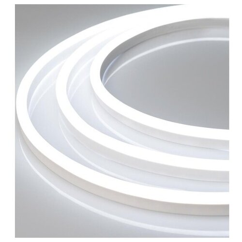  52446   ARL-NEON-1608-SIDE 24V White (Arlight, 6 /, IP65)